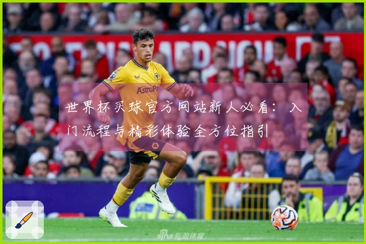 世界杯买球官方网站新人必看：入门流程与精彩体验全方位指引