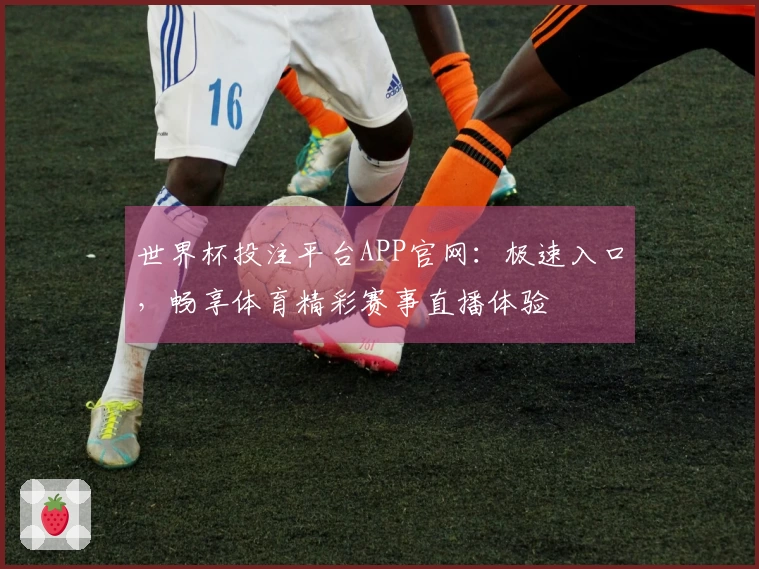 世界杯投注平台APP官网：极速入口，畅享体育精彩赛事直播体验
