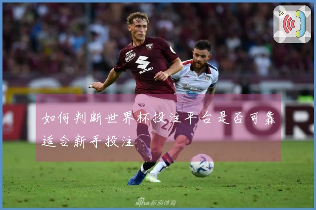 如何判断世界杯投注平台是否可靠适合新手投注
