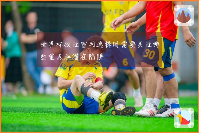 世界杯投注官网选择时需要关注哪些重点和潜在陷阱