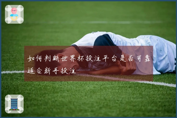 如何判断世界杯投注平台是否可靠适合新手投注