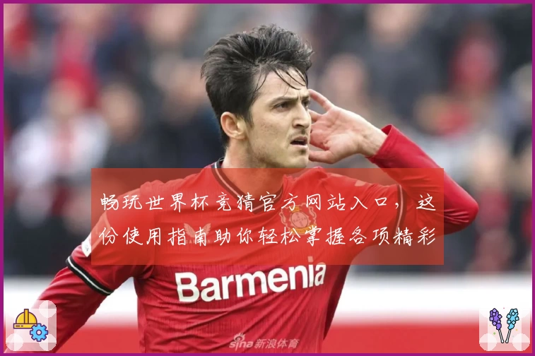 畅玩世界杯竞猜官方网站入口，这份使用指南助你轻松掌握各项精彩功能