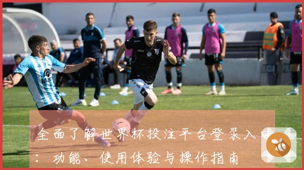 全面了解世界杯投注平台登录入口:功能、使用体验与操作指南