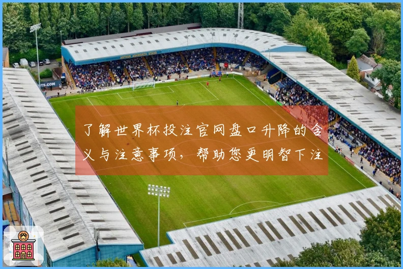 了解世界杯投注官网盘口升降的含义与注意事项，帮助您更明智下注