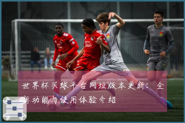 世界杯买球平台网址版本更新：全新功能与使用体验介绍