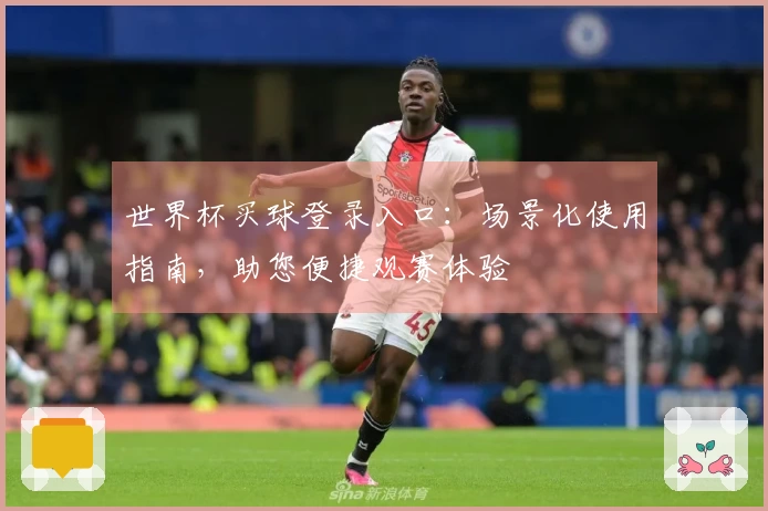 世界杯买球登录入口：场景化使用指南，助您便捷观赛体验